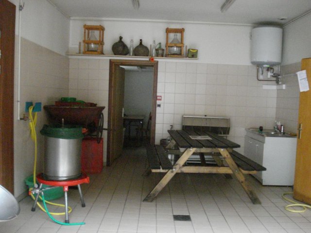 Sortie 2012 au Ballon d'Alsace